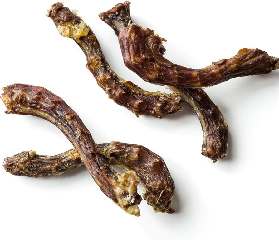 Turkey Necks